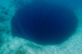 Биогеохимики из Института Макса Планка обнаружили естественный фильтр парникового газа в Черном море — Ян фон Аркс