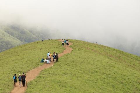 Заповедник Тунгусский создаст экотропу к эпицентру падения метеорита — Логунова