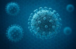 JAMA: РСВ вызывает последствия до 300 дней, включая неврологические нарушения