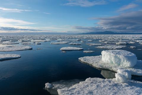 Восточно-Сибирское море хранит следы древних вулканов и континентов под толщей льда Восточно-Сибирское море хранит следы древних вулканов и континентов под толщей льда