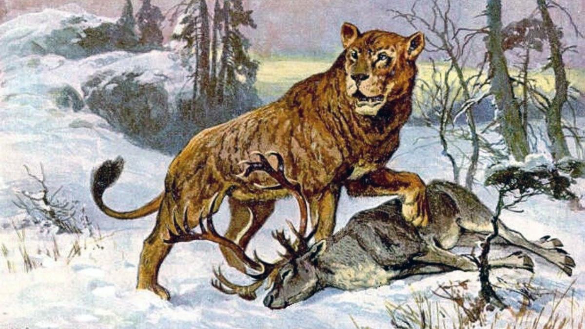 Пещерный лев