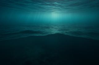 Юнг: климатические изменения вызывают прилив саргассума фосфором из океанских глубин