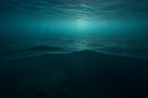 Юнг: климатические изменения вызывают прилив саргассума фосфором из океанских глубин