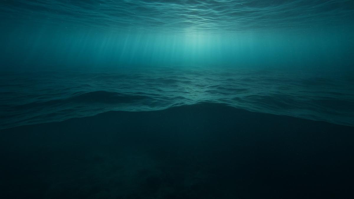 Токсичное море