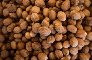 Мускатный орех улучшает пищеварение и состояние кожи, но требует осторожности — Елена Сюракшина