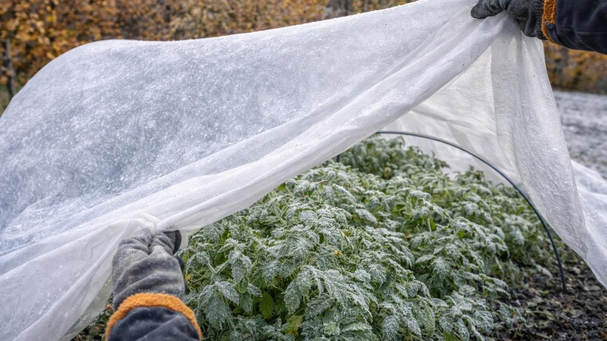 Сад под укрытием