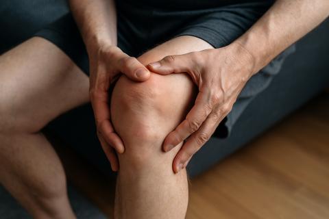 Учёные выявили роль белка TnC в регенерации мышц и её ухудшении при старении — исследование Communications Biology