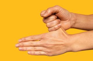 Соотношение пальцев указало на возможную роль эстрогена в эволюции мозга