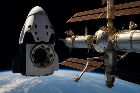 Итальянские ученые создали рис высотой 10 см для выращивания в космосе