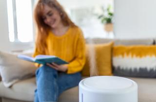 Зимой влажность в домах падает до 25% — как восстановить комфортный уровень 40–60%