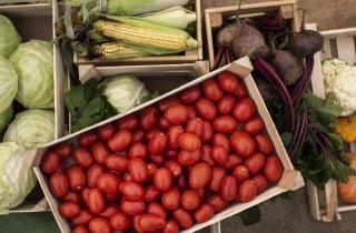 Для снижения влажности в погребе используйте соль и негашеную известь — садоводы