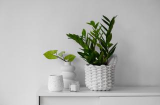 Удобрения-палочки обеспечивает стабильное питание растений по данным агрономов