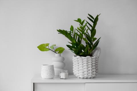 Удобрения-палочки обеспечивает стабильное питание растений по данным агрономов