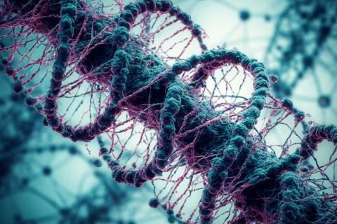 Генетическое исследование древнеегипетского мужчины из Нувайрата подтверждает миграции из Месопотамии