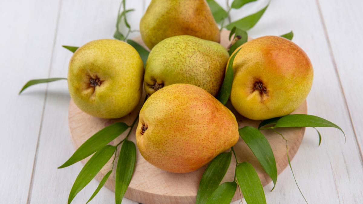 Груша азиатская