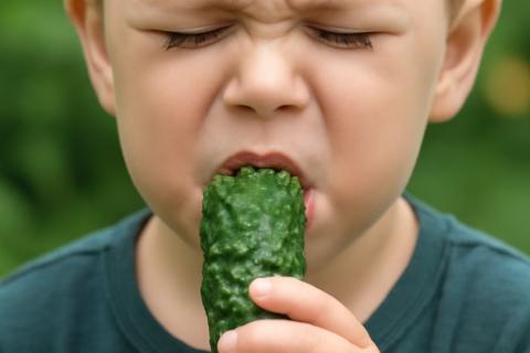 Нутрициолог Порхун назвала продукты для укрепления иммунитета и сна у детей