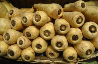 Пастернак становится слаще после заморозков, сообщают ботаники