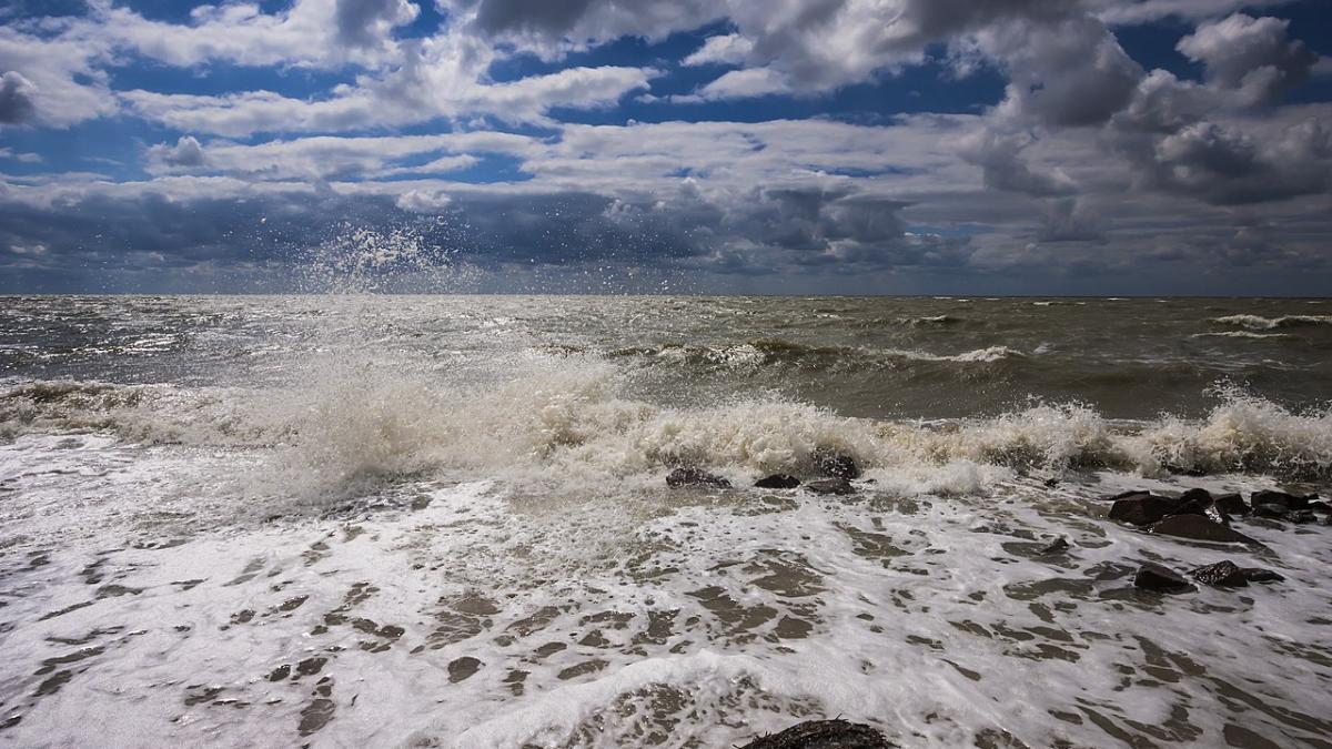Азовское море Азовское море