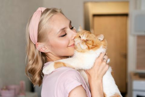 Британская и персидская кошки названы оптимальными для людей старше 70 лет
