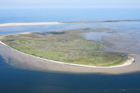 Остров-призрак посреди Северного моря: крохотный клочок суши бесследно тает в соленой воде