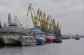 Во Владивостоке задержана кормовая добавка из Китая — Россельхознадзор