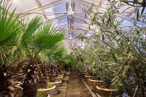 Низкая влажность названа основной зимней проблемой тропиков — Кристина Хикс-Хэмблин