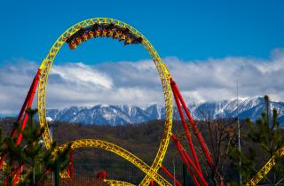 Сочи и Адлер входят в топ направлений у молодых туристов — аналитики