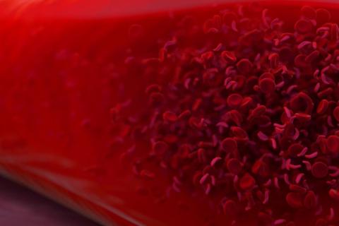 Доктор Аксенов рассказал о безопасности донорства крови для реципиентов