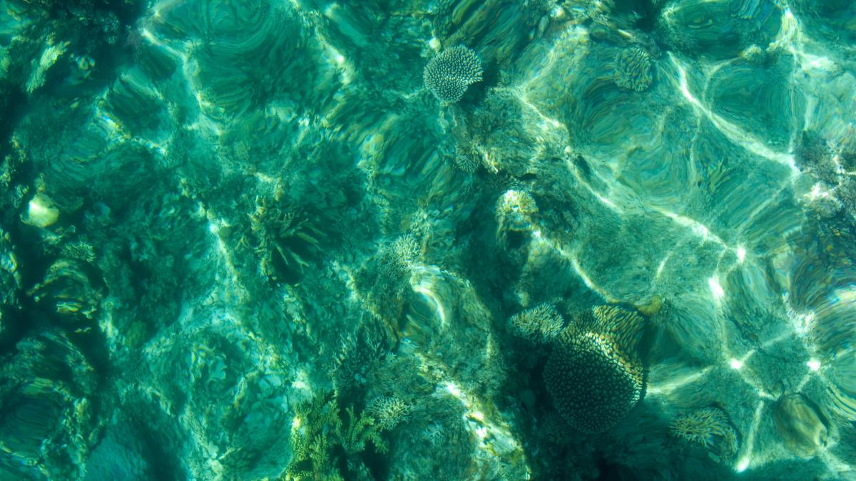морская вода морская вода