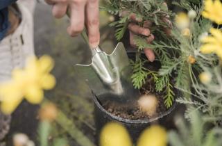 Терракотовые горшки растрескались от влажной почвы в мороз — по данным садоводов