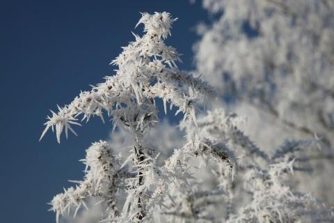 В Тюменской области температура упадет до минус 39 градусов — правительство