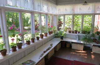 Держим растения живыми зимой: проверенные методы, которые работают каждый раз