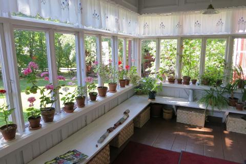 Держим растения живыми зимой: проверенные методы, которые работают каждый раз