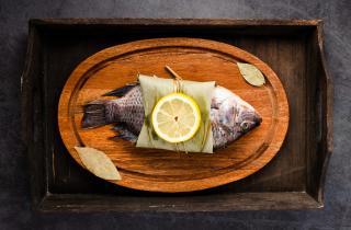 Карп на мангале с майонезом и специями сохраняет сочность при правильном приготовлении