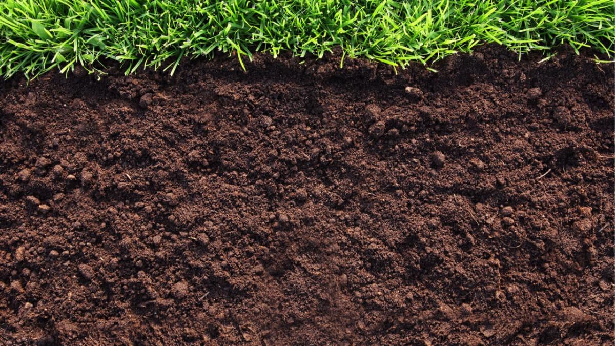 Плодородная почва