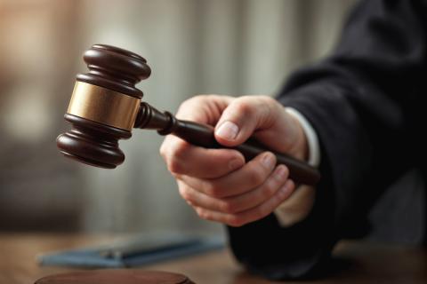 Дело Долиной не создаёт универсального механизма пересмотра — адвокат Людмила Айвар