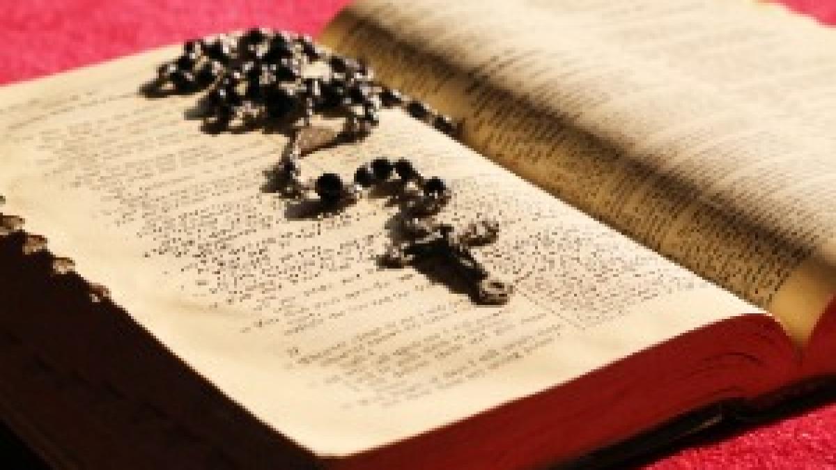 Bible-706658 Bible-706658