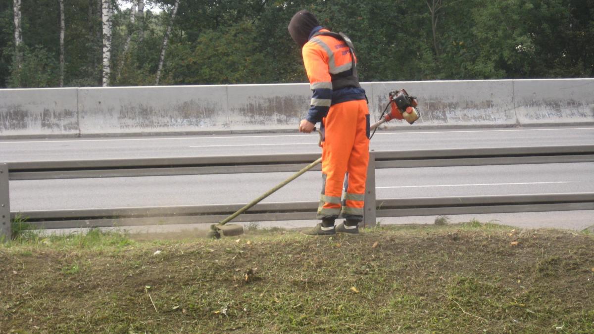 Покос травы в середине сентября (МКАД, Москва) Покос травы в середине сентября (МКАД, Москва)