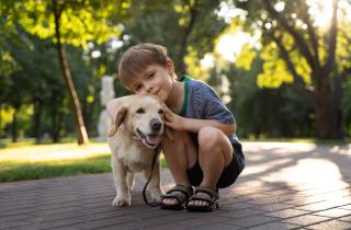 Прикосновение снижает стресс у питомцев и людей — To Pet Mou