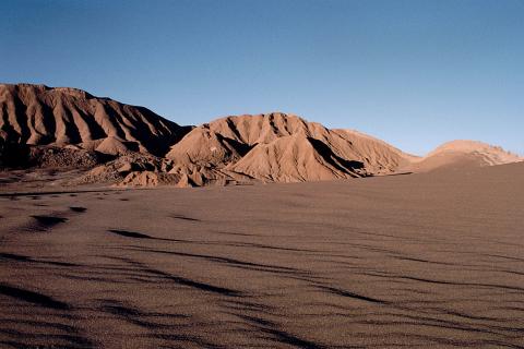 В почвах пустыни Атакама нашли устойчивые сообщества нематод — NC