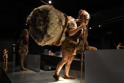 Археологи обнаружили древние орудия Homo antecessor в ледниковом слое Британии