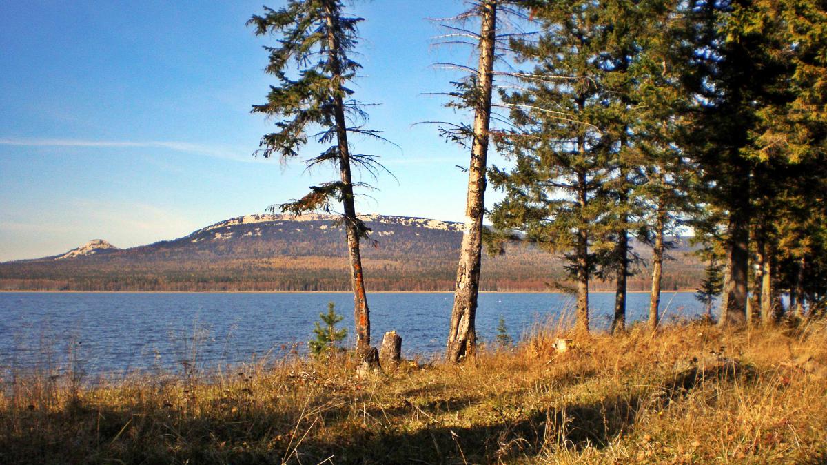 Тайга у кромки озера