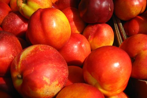 Калий в нектарине снижает давление — диетолог Абреу