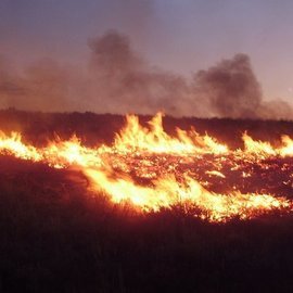Ученые выяснили, что лесные пожары в Сибири могут понизить температуры в Евразии