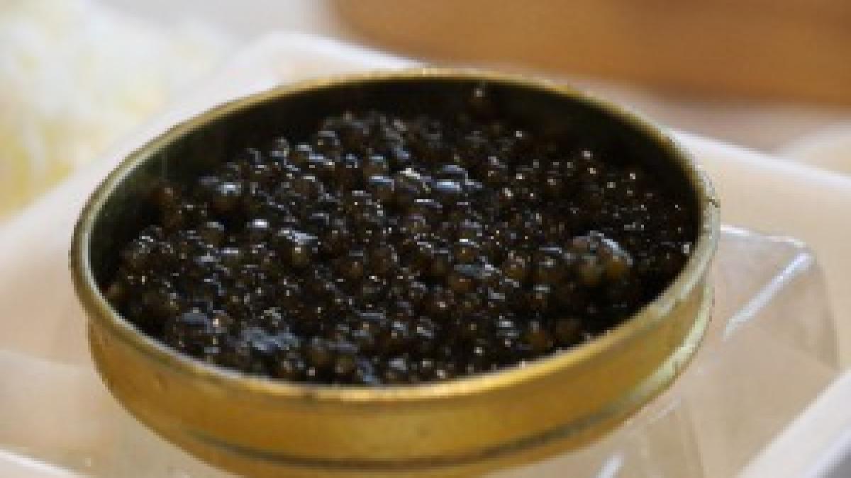 20g Caviar 20g Caviar