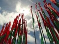 Белоруссия вступила в ШОС, доведя число участников до десяти Белоруссия вступила в ШОС, доведя число участников до десяти