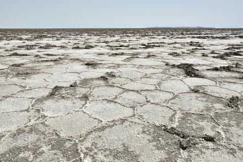 Спутники NASA зафиксировали превращение засушливых зон в мега-регионы по всему миру