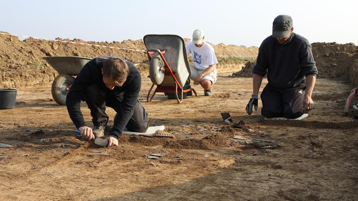 Раскопки Раскопки