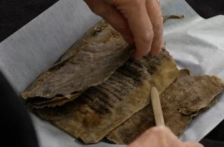 Кодекс Хагенеса: редкий средневековый манускрипт из тюленьей кожи обнаружен в Норвегии