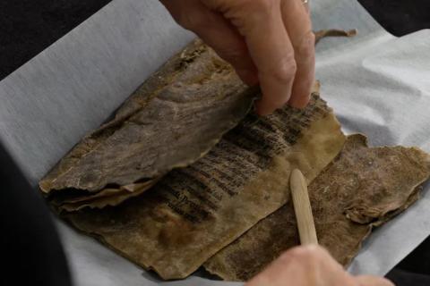 Кодекс Хагенеса: редкий средневековый манускрипт из тюленьей кожи обнаружен в Норвегии